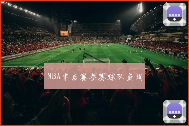 NBA季后赛参赛球队查询