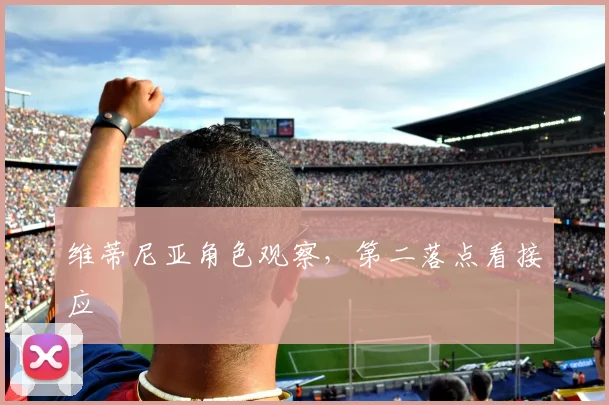 维蒂尼亚角色观察，第二落点看接应