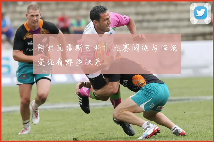 阿尔瓦雷斯百科:比赛阅读与临场变化有哪些联系
