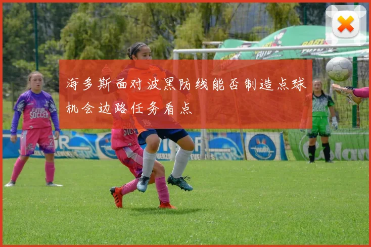 海多斯面对波黑防线能否制造点球机会边路任务看点