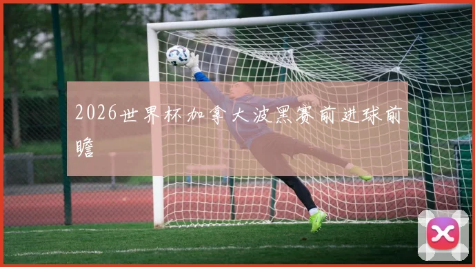 2026世界杯加拿大波黑赛前进球前瞻