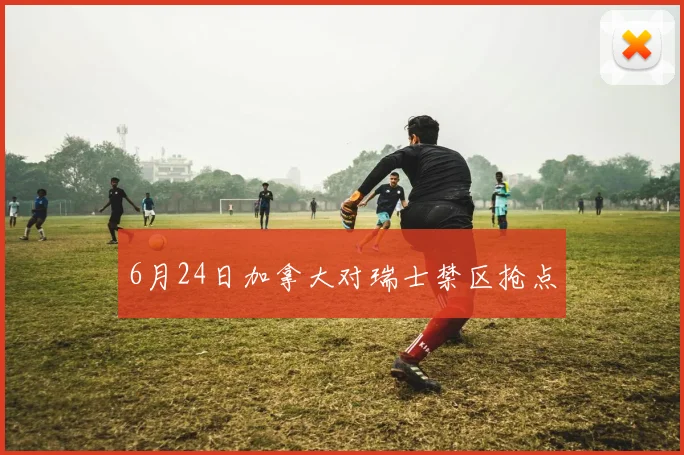 6月24日加拿大对瑞士禁区抢点