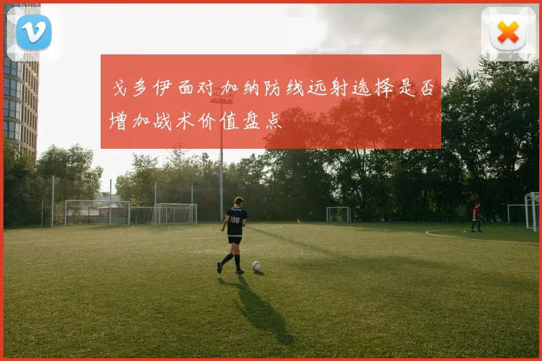 戈多伊面对加纳防线远射选择是否增加战术价值盘点